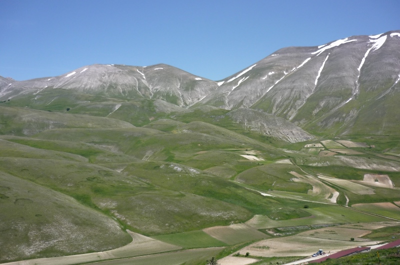 Castelluccio e le sue Helix ligata - H. delpretiana